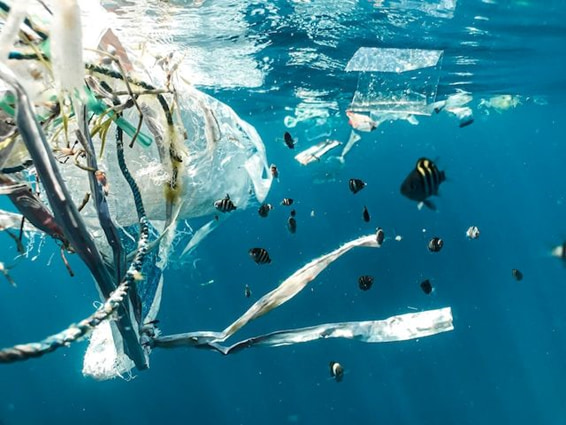 【日本人のための環境用語集】マイクロプラスチック（Micro plastic）とは？