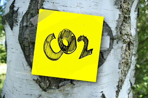 【日本人のための環境用語集】二酸化炭素回収・貯留（Carbon Dioxide Capture and Storage）とは？