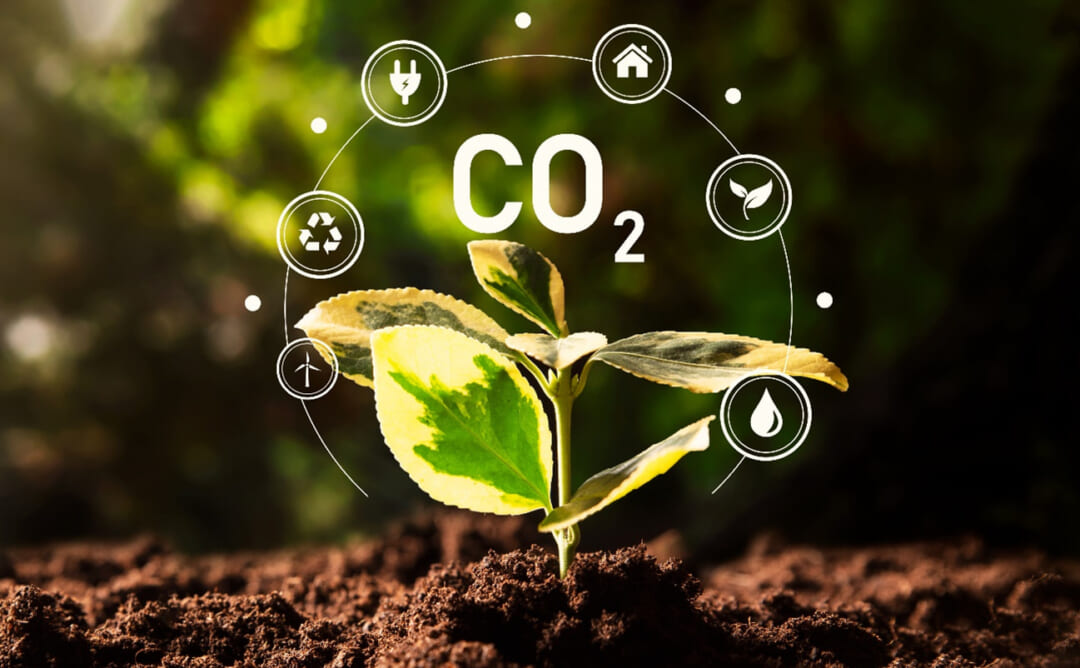 【日本人のための環境用語集】炭素市場（Carbon Market）とは？